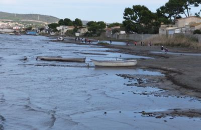 A l'attaque des déchets du Barrou
