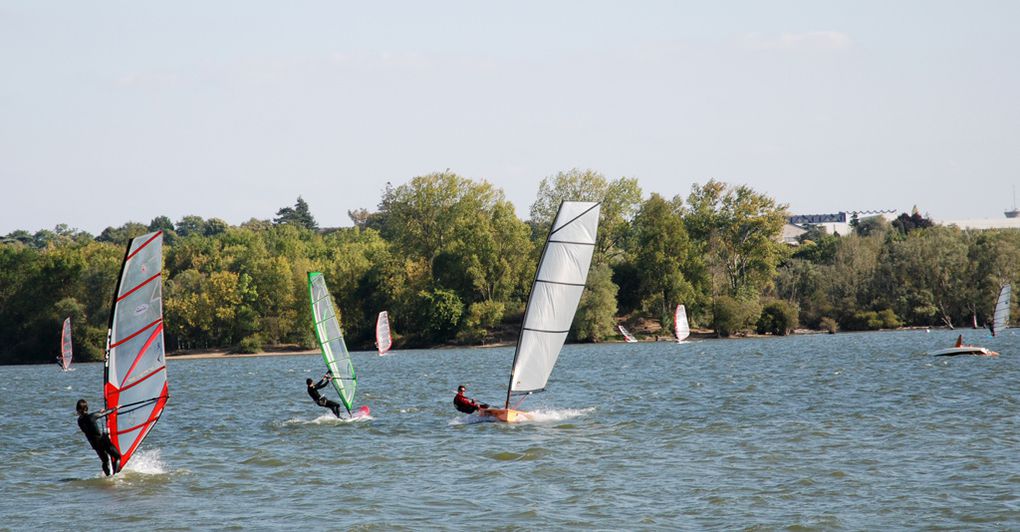 Lac de Maine (49) 