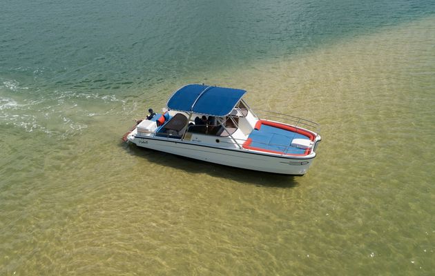 Malin comme un Pinball Boat, à la fois électrique, thermique et hybride !
