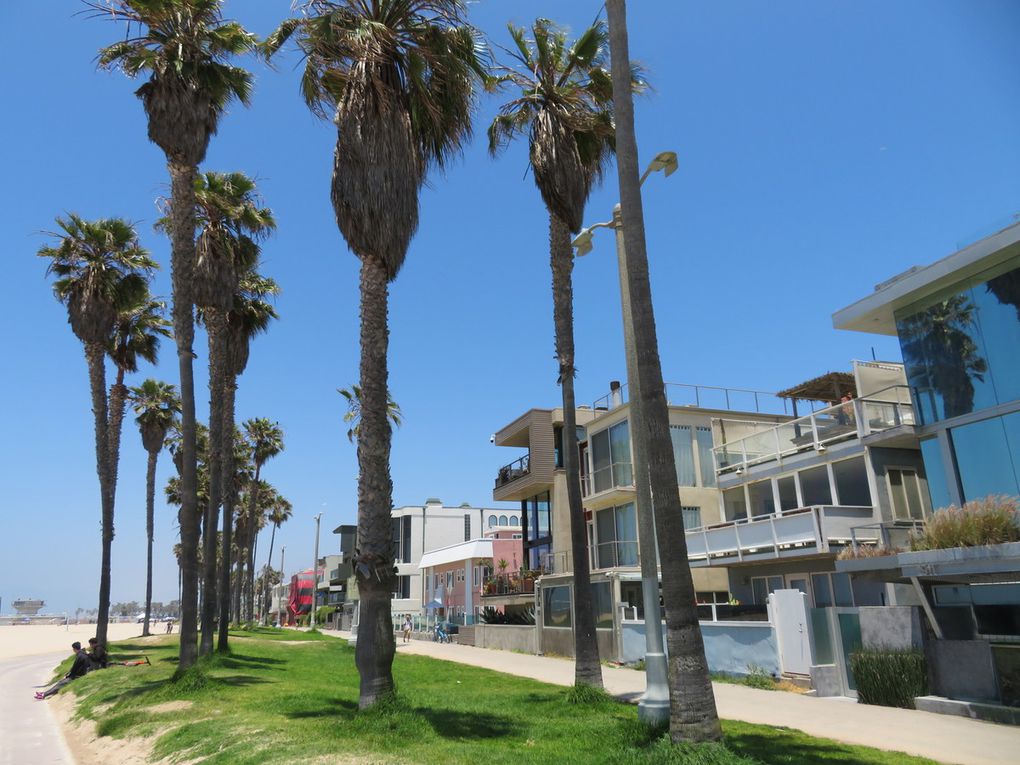 Los Angeles, Venice Beach et Malibu 