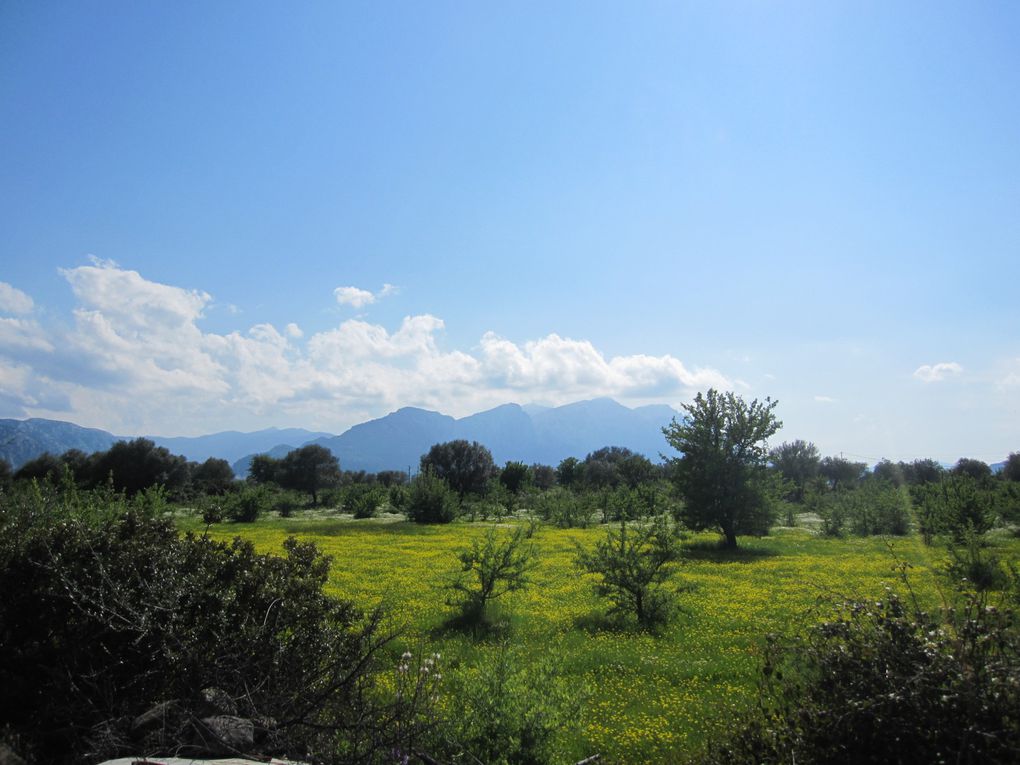 de Palau à Dorgali