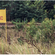 Espoir pour l'agriculture : une étude examine la possibilité de cultiver à nouveau à Tchernobyl