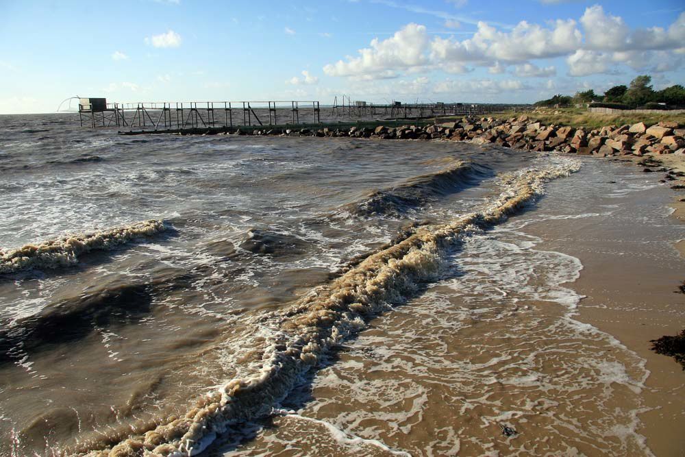 Sentier de douanier en Pays de Retz - Photos Thierry Weber Photographe La Baule Guérande