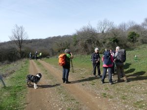 Mont Tressou et Serre grande Rieussec 18 Fév 2024