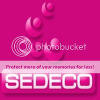 SEDECO transforme ses collaborateurs en experts métiers