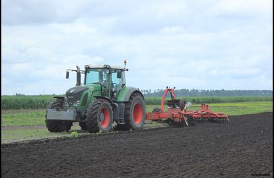 Labour dans les Landes