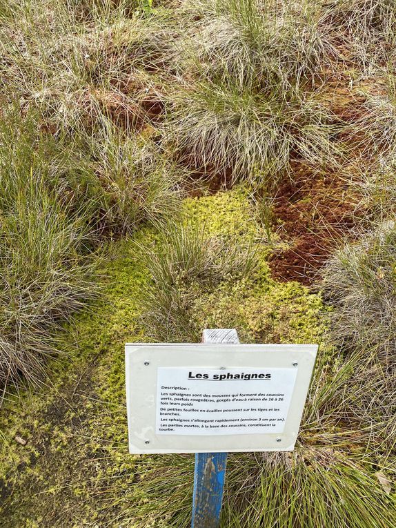 Le chemin des Tourbières, Les Ponts-de-Martel