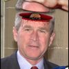 le cerveau de bush