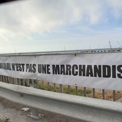 Rassemblement Port de commerce samedi 12 avril 2025 