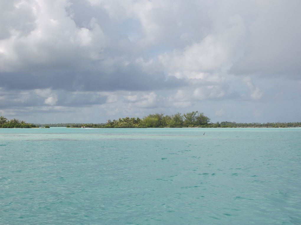 "L'île aux neufs yeux"