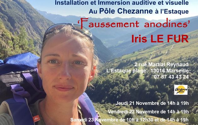 Iris LE FUR « Faussement anodines » Pôle Chezanne