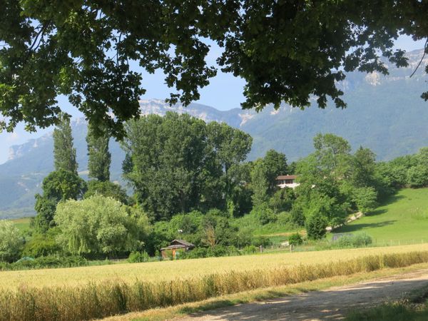 &quot;Rando Santé&quot; La Forêt des Marches