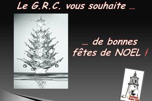 Joyeuses Fêtes de Noël 2011