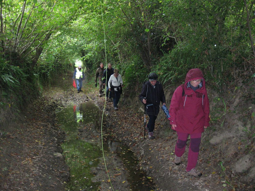 Une pluie d'automne au rendez-vous des marcheurs