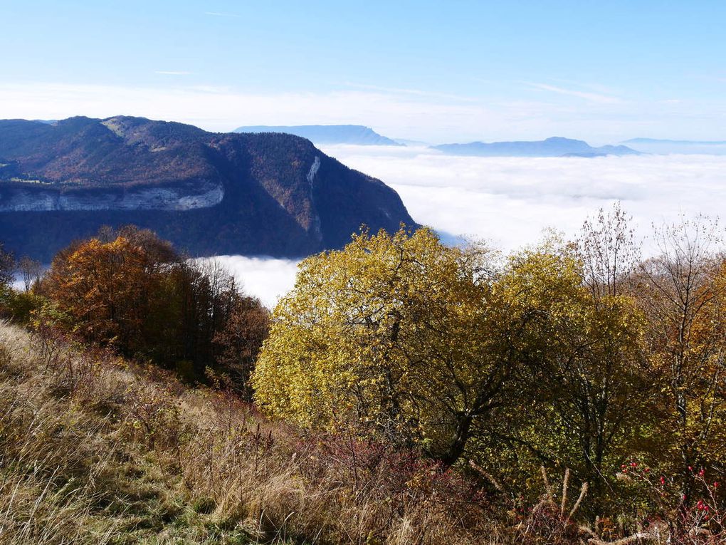 Crêt de l'Aigle 1643m - (Bauges)