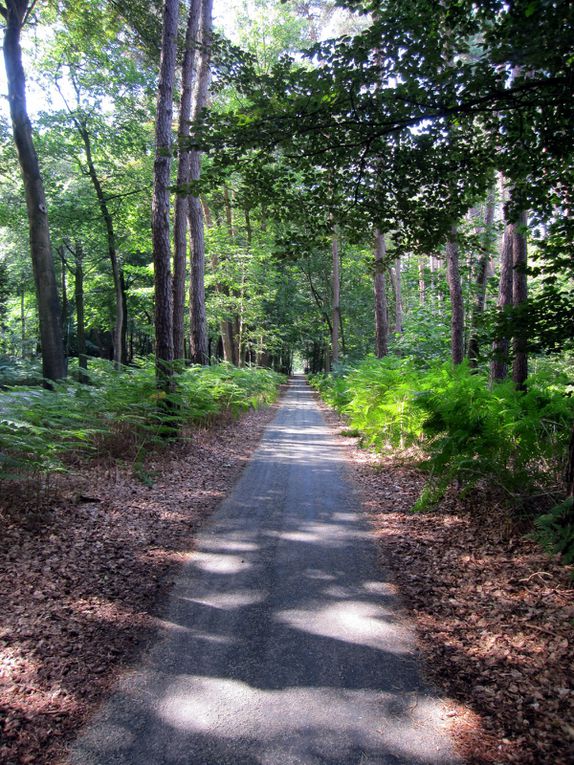 voyage à vélo de france en passant par l'angleterre, les pays bas et l'allemagne