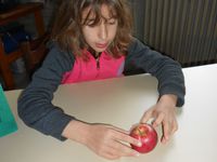 Blandine, Andréa et Gabrielle ont pioché une pomme rouge et jaune avec une peau lisse : c'est la pomme GALA. 
