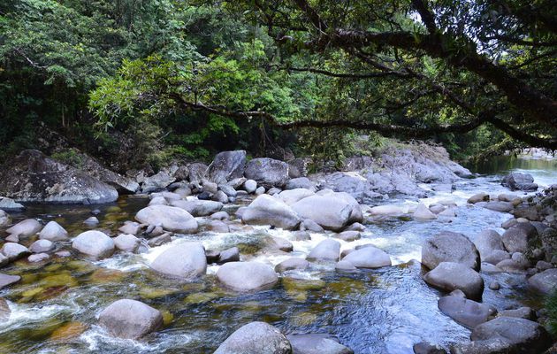 Mossman Gorge