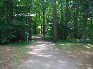 Du camping de Cap à la roche jusqu'à Montréal et ses revendications...