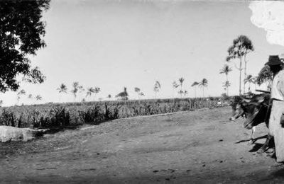 Abolir le chômage à La Réunion : enfer ou utopie ? 