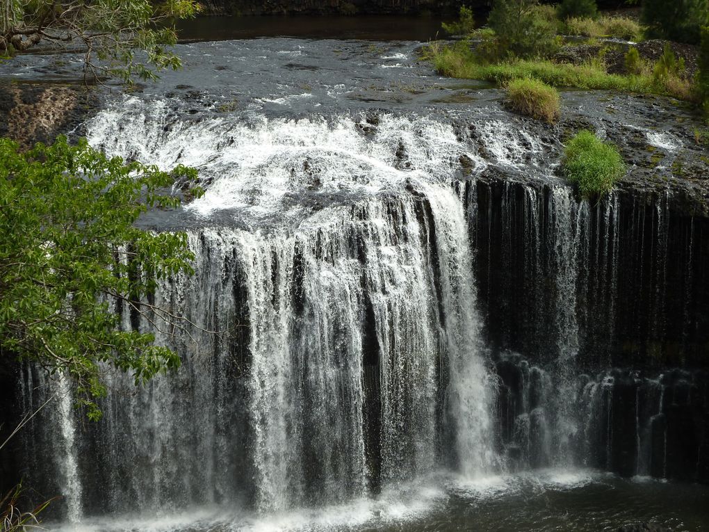 Album - atherton-tablelands