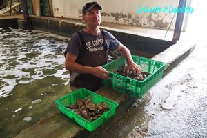 Des Huîtres de Terroir sur l'Ile de Ré, Cybelle des Marais et Boudeuses au Verjus, avec Jean François Beynaud