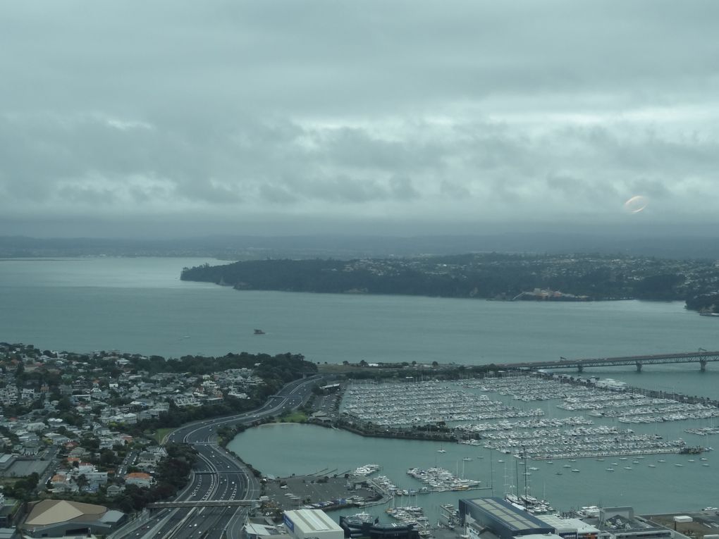 Nos vacances en Nouvelle Zélande du 22 décembre au 11 janvier: Auckland et l'île du Sud