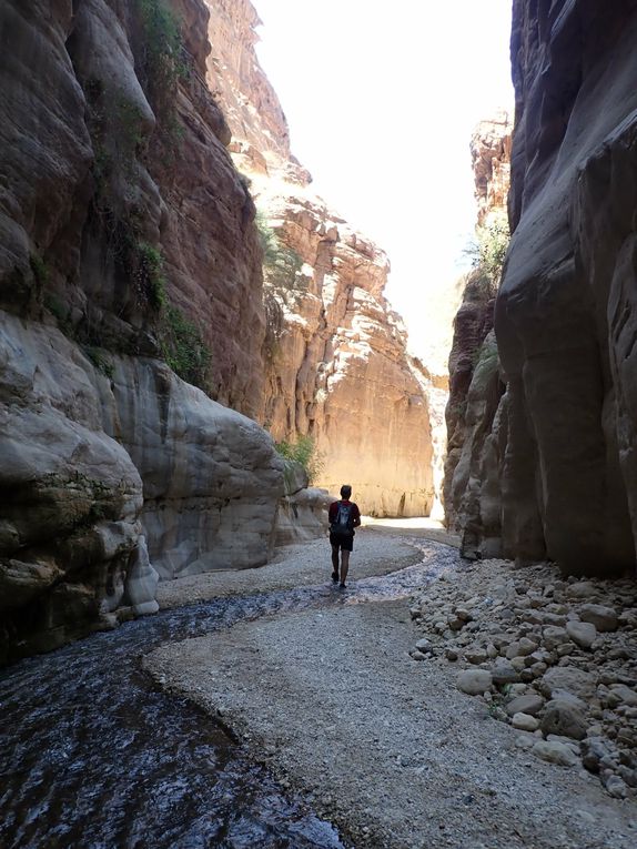 WADIS DE JORDANIE : RANDONNEES AQUATIQUES. Août 2023