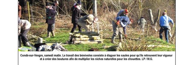 9 décembre 2017 - Taille des saules de Condé dans la presse