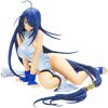 EN STOCK : Ikki Tousen - Unchou Kanu & Shimei Ryomou DVD BOX China Dress - Edition Spéciale Miyazawa