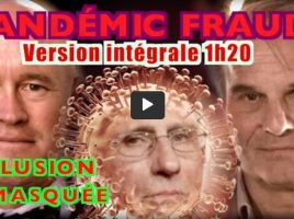 REINER FUELLMISH : PANDEMIC FRAUD version intégrale 1h20 de révélations sur les brevets liés à cette Plandémie - 27/07/2021.