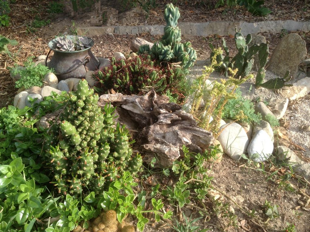 Jardin des saveurs, jardin magique, hortus du "Matrimoine Méditerranéen", jardin de la fraternité, engrais vert et jachère fleurie ... un petit coin de paradis à La Ciotat.