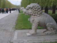 il n'y jamais eu de lion en Chine...