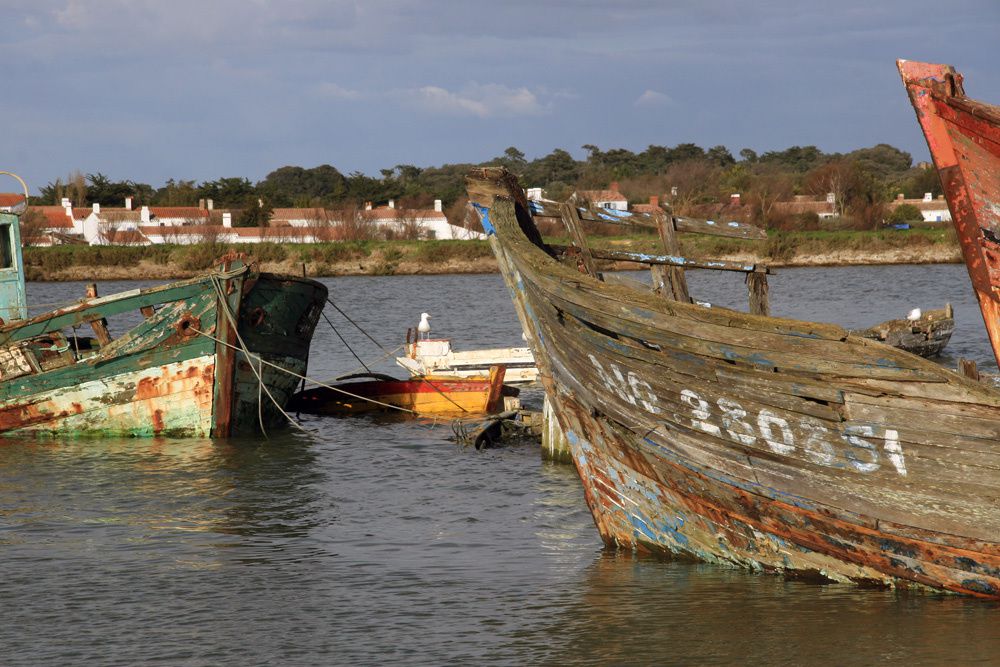 Album - Cimetière de bateaux à Noirmoutier