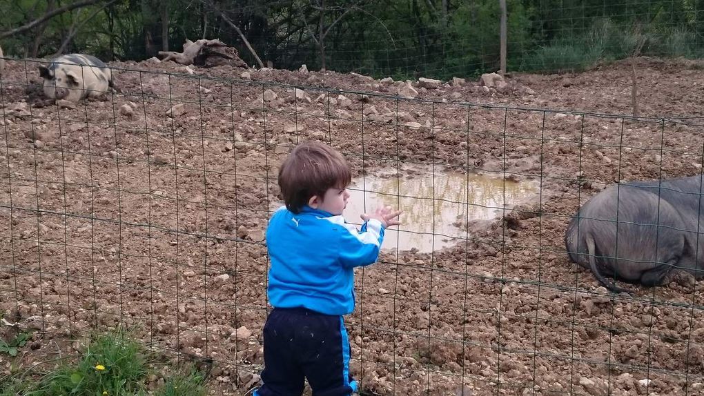 Visite à la Ferme de l'Hort