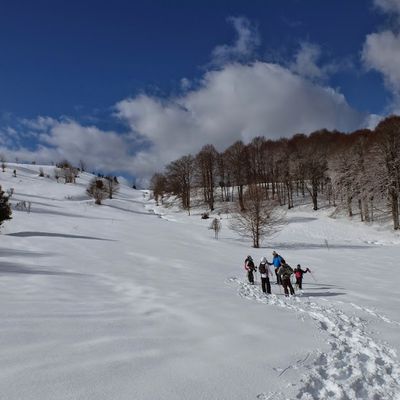 Dix paires de raquettes, un igloo et deux plumes