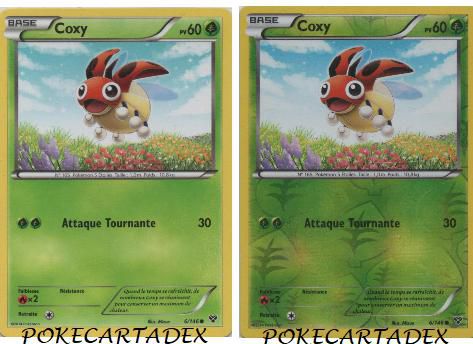 SERIE/XY/XY/1-10/6/146