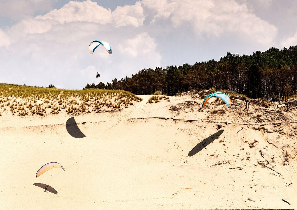 Excursion sur le Banc d'arguin situé face à la Dune du Pilat.