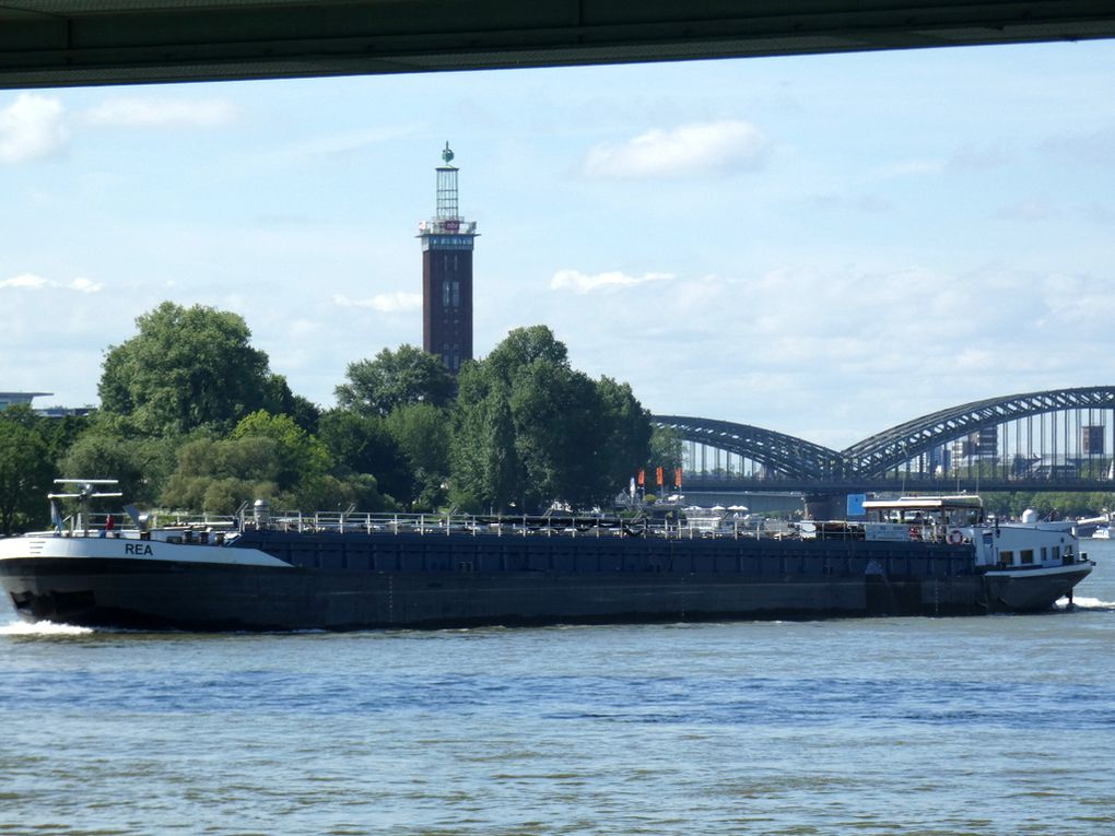 REA , péniche  sur le Rhin au passage de Cologne (Allemagne ) le 31 mai 2019