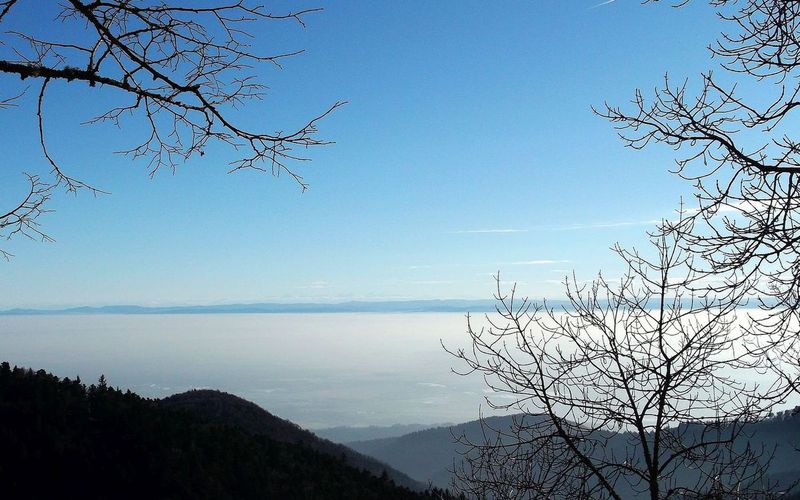 STEINBACH : MONTÉE AU REFUGE UTAN MOLKENRAIN  (R 37)