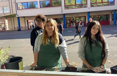 Semaine de l'écologie 