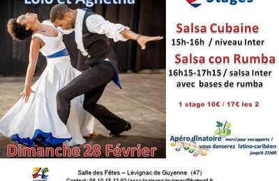 Stage salsa cubaine et animation musicale tous niveaux, 28 février, Lévignac 