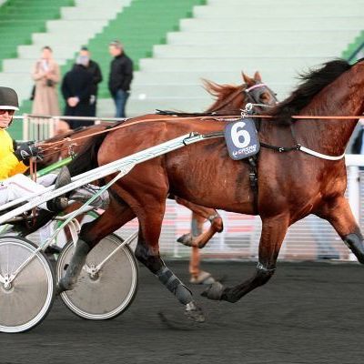 Quinté Lundi à Vincennes : Boccaccio doit être repris