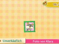 Isabelle, Ninjette, Lola, Pamela, Amande, Cachou, Roy, Rocky, Damia,