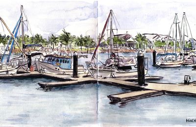 Hinchinbrook marina, Cardwell