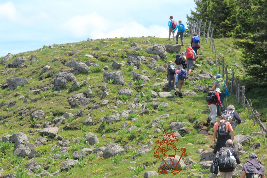 sortie AUBRAC