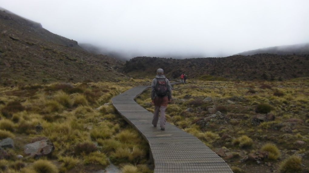 Album - Tongariro