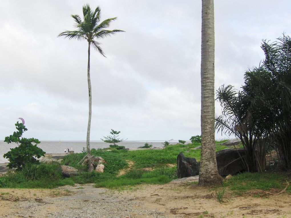 Voici quelques photos de cette première journée guyanaise ! Au programme balade à la pointe des Roches (à la pointe Est de Kourou) où se trouve le phare Dreyfus. Ce phare permettait de communiquer avec le bagne (les Iles du Salut) par sémaphore