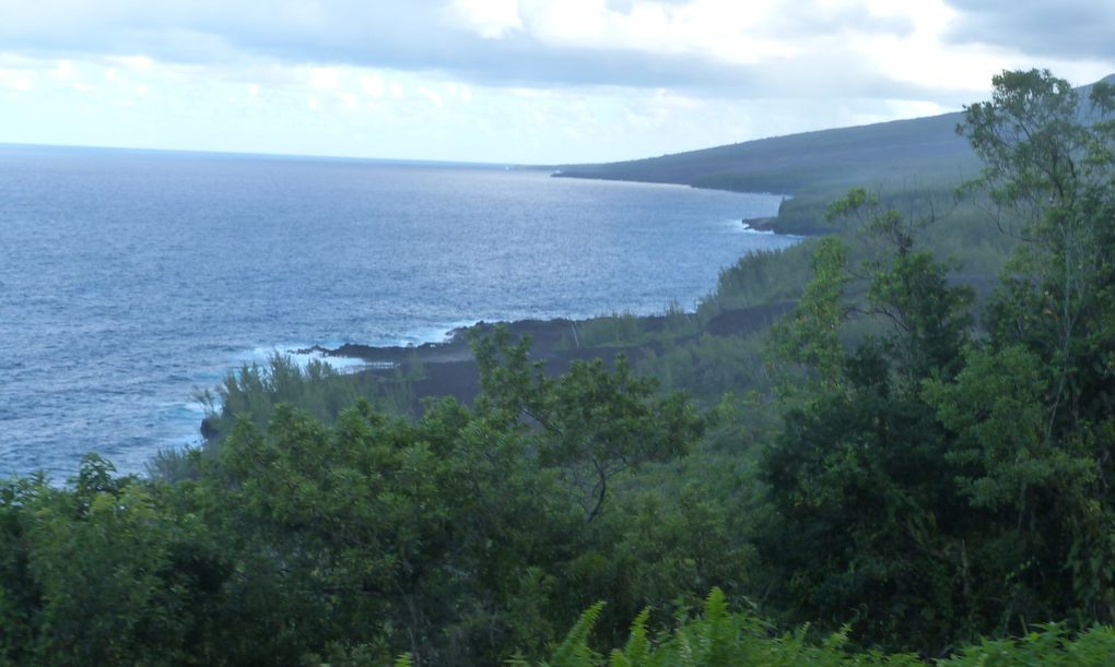 ma 1ere ballade seule, partie du Cap Méchant, puis Terre Brûlée, L'anse des cascades, et enfin Sainte Rose. Magnifique....