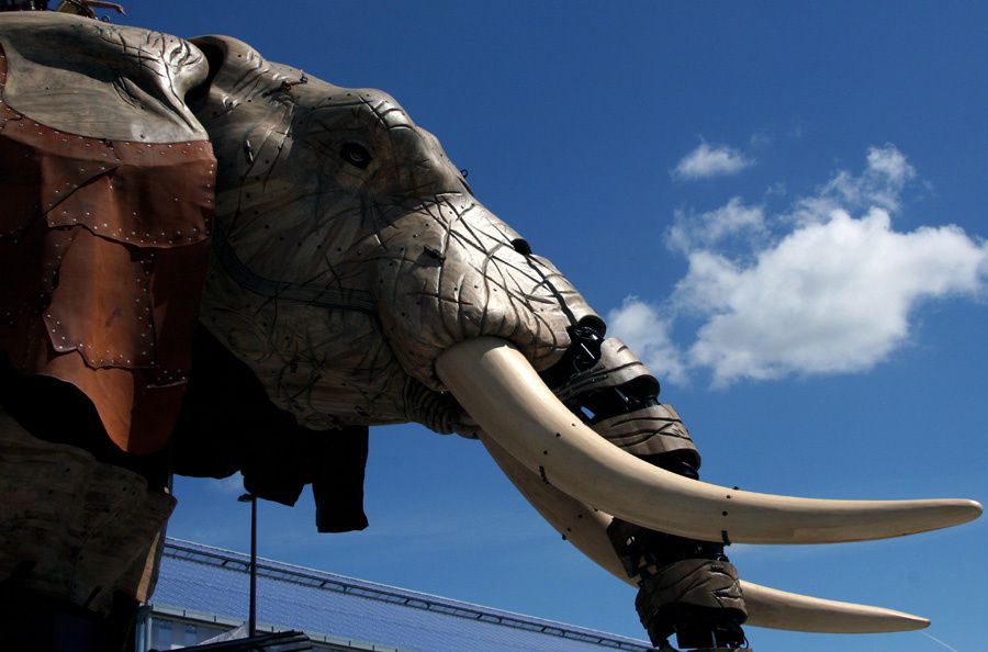 Eléphant de l'Ile de Nantes Royal de Luxe - Photos Thierry Weber Photographe La Baule Guérande